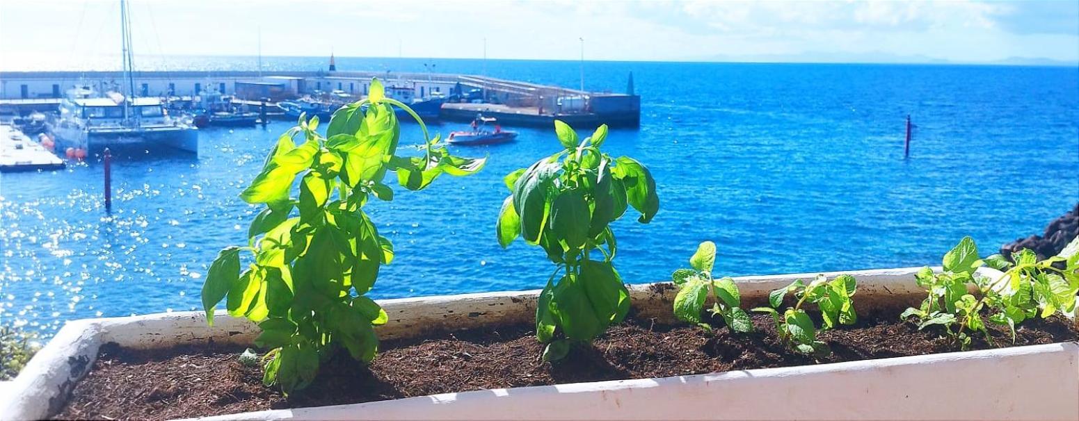Buena Pesca 7 Appartement Puerto del Carmen  Buitenkant foto